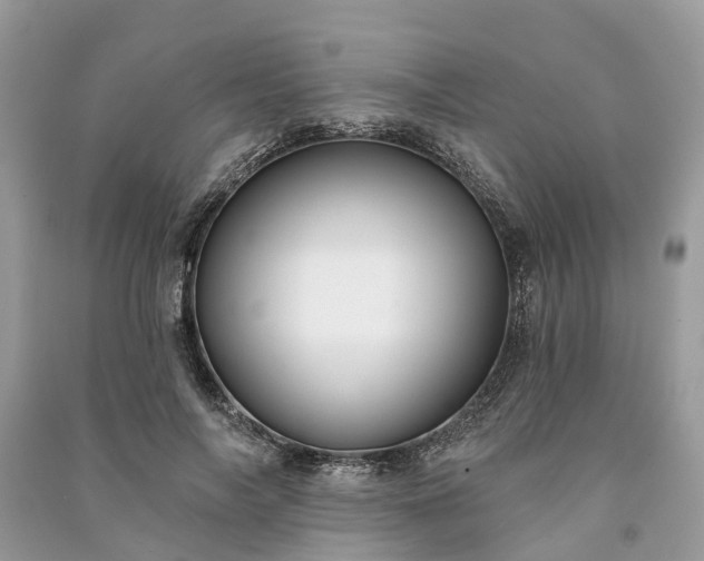 X0000091000694200708091540