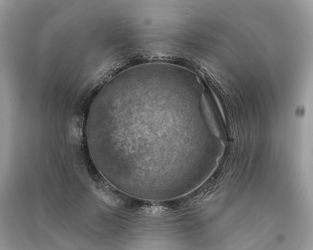 X0000091000695200708091540