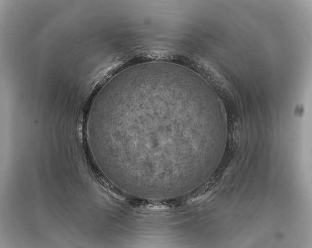 X0000091000696200708091540