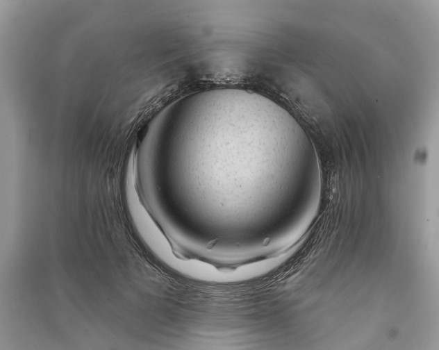 X0000091000697200708091540