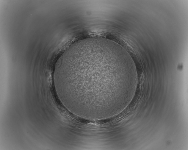X0000091000699200708091540