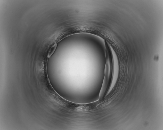 X0000091000700200708091540