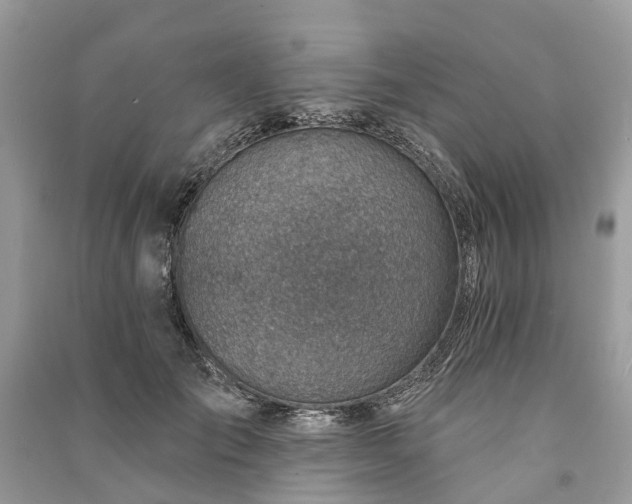 X0000091000701200708091540