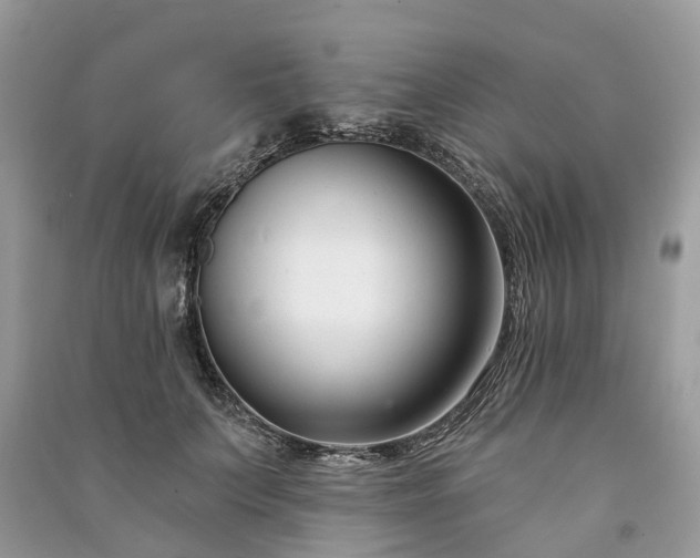 X0000091000703200708091540