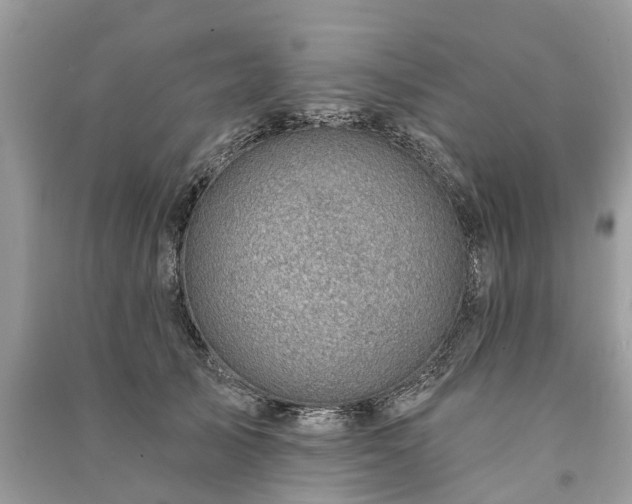 X0000091000705200708091540