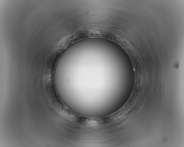 X0000091000706200708091540