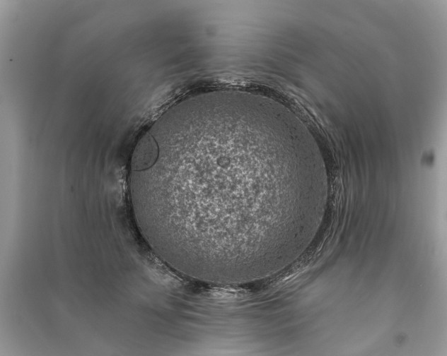 X0000091000707200708091540
