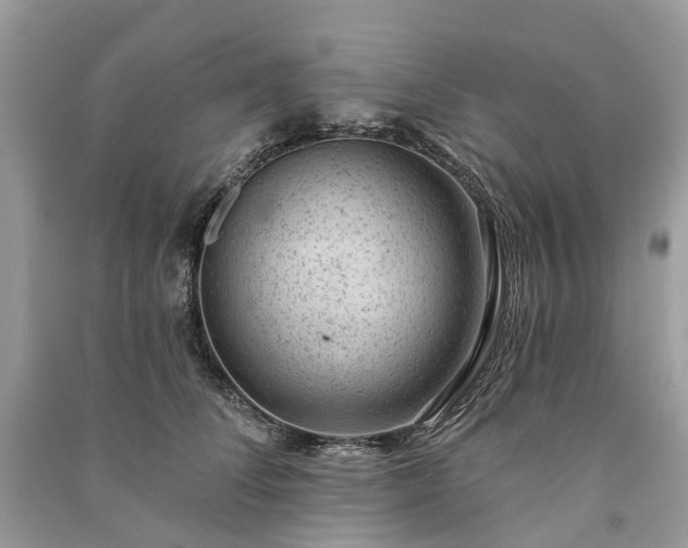 X0000091000708200708091540