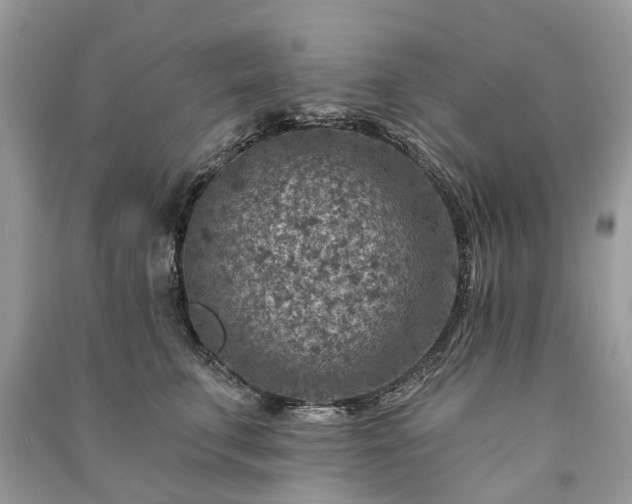 X0000091000711200708091540