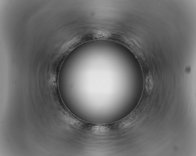 X0000091000714200708091540