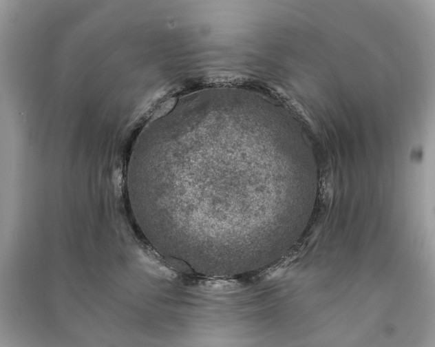 X0000091000716200708091540