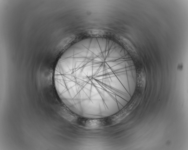 X0000091000717200708091540