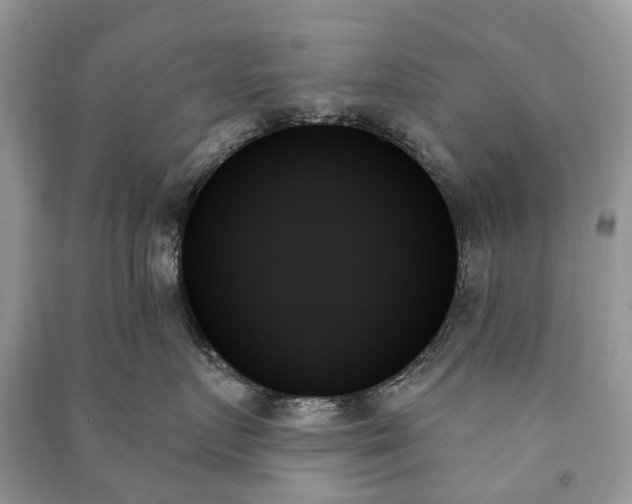 X0000091000719200708091540