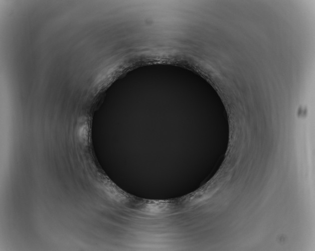 X0000091000720200708091540