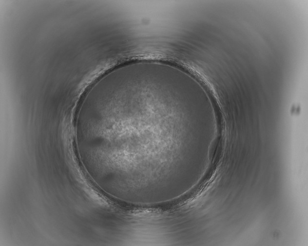 X0000091000721200708091539