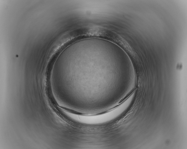 X0000091000722200708091539
