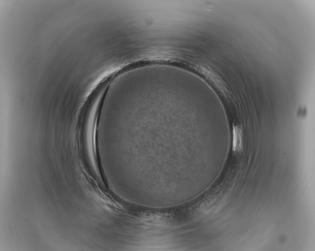 X0000091000723200708091539