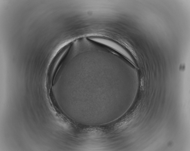 X0000091000724200708091539