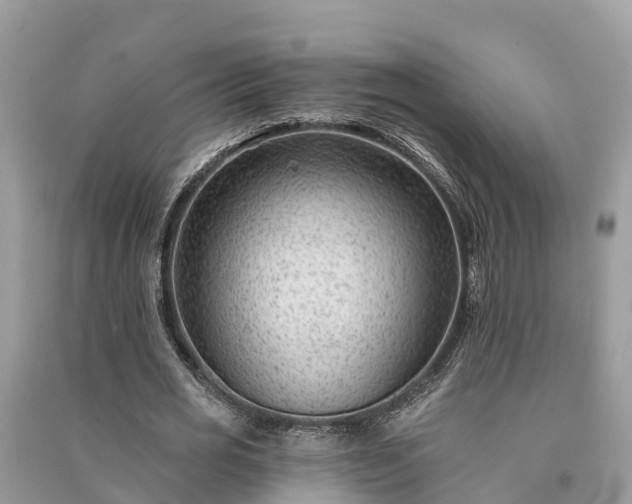 X0000091000725200708091539