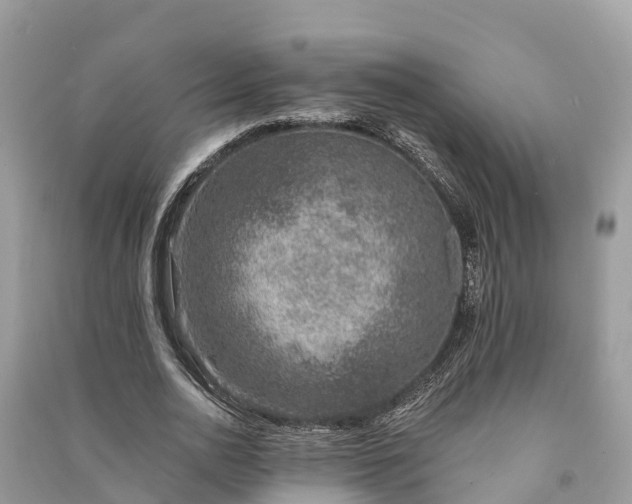 X0000091000726200708091539