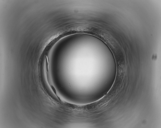 X0000091000727200708091539