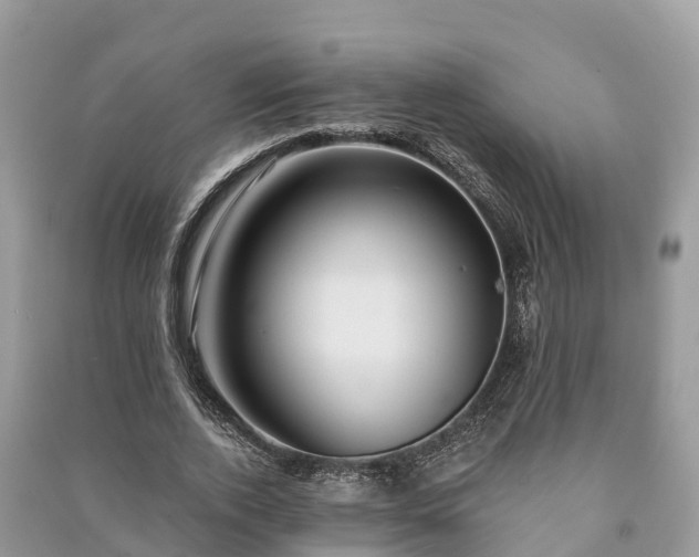 X0000091000728200708091539