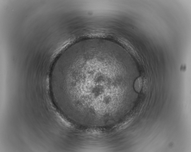X0000091000729200708091539