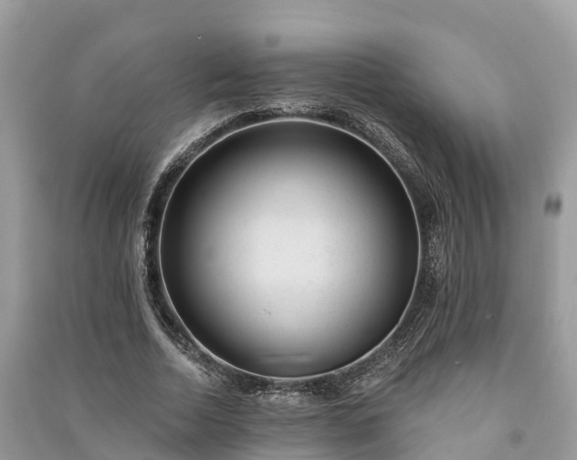 X0000091000730200708091539