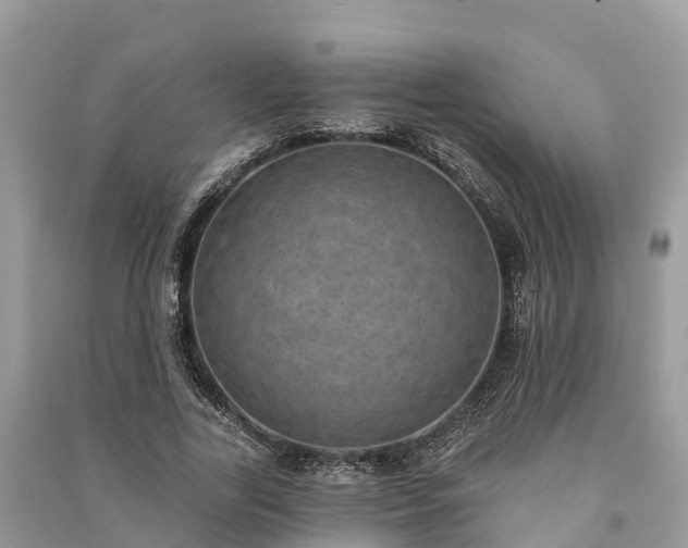 X0000091000731200708091539