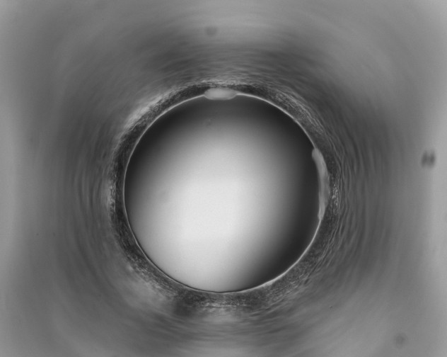 X0000091000732200708091539