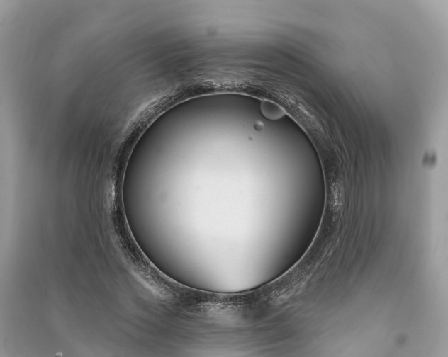 X0000091000733200708091539