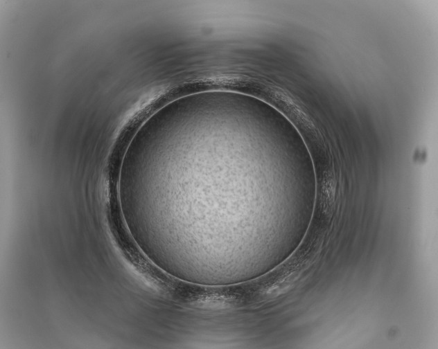 X0000091000734200708091539