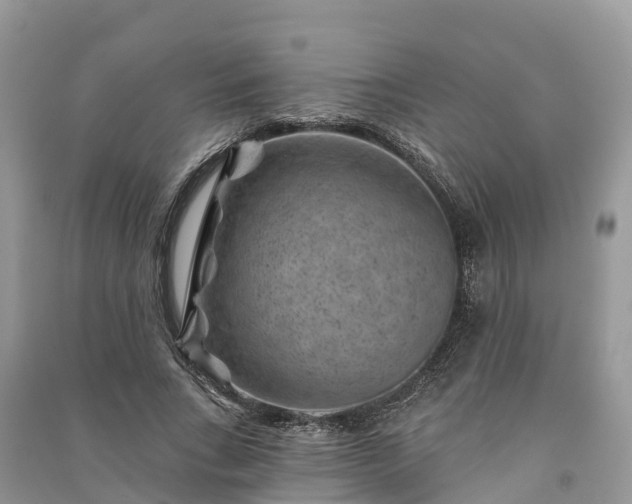 X0000091000735200708091539