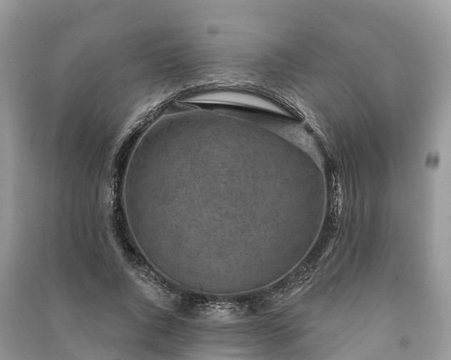 X0000091000736200708091539