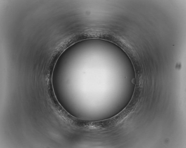 X0000091000737200708091539