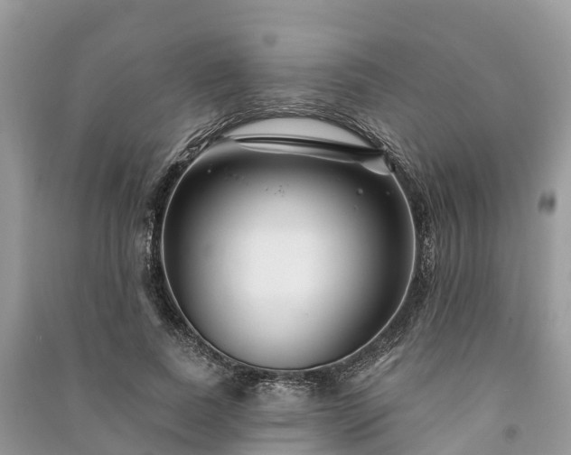 X0000091000739200708091539