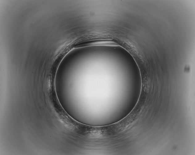 X0000091000740200708091539