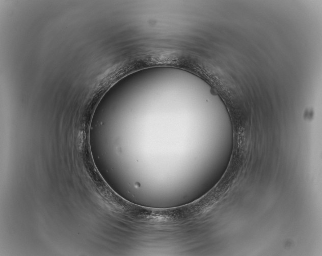 X0000091000741200708091539