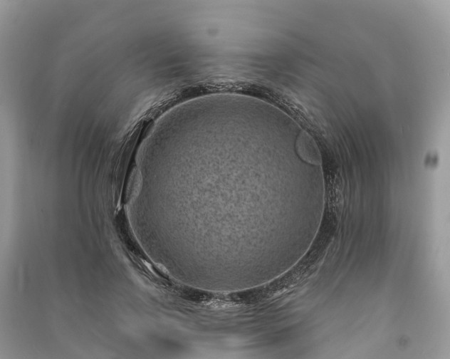 X0000091000742200708091539