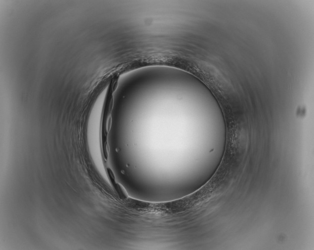 X0000091000743200708091539