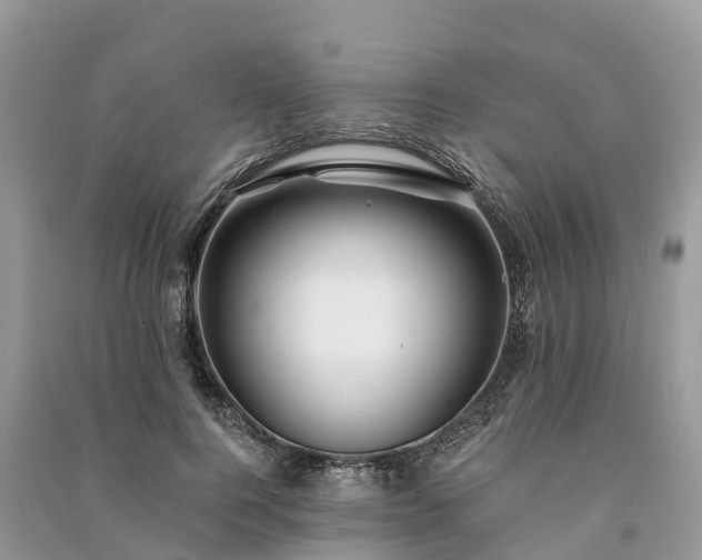 X0000091000744200708091539