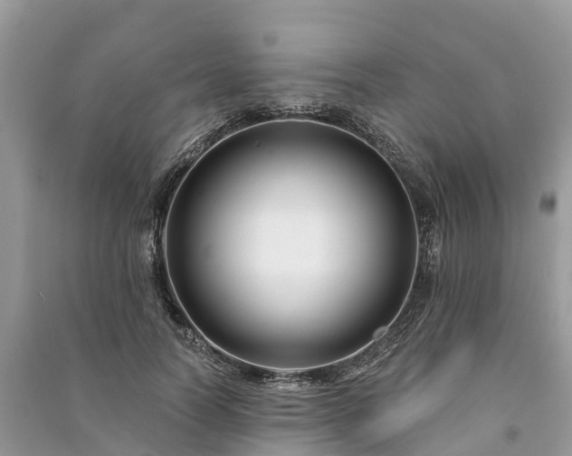 X0000091000746200708091539