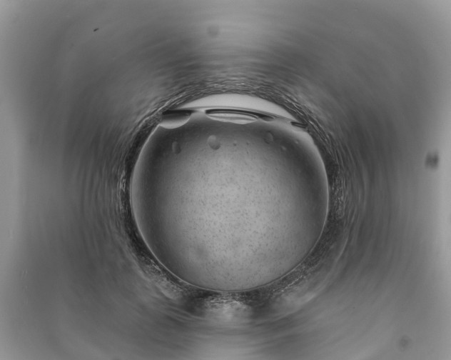 X0000091000747200708091539