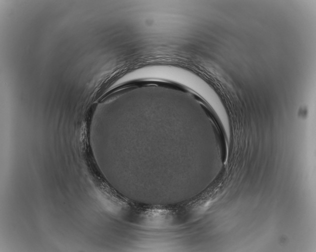 X0000091000748200708091539