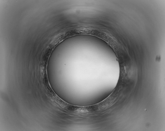 X0000091000749200708091539