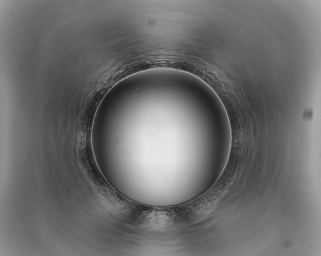 X0000091000751200708091539