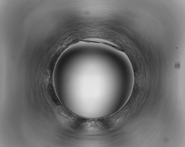 X0000091000752200708091539