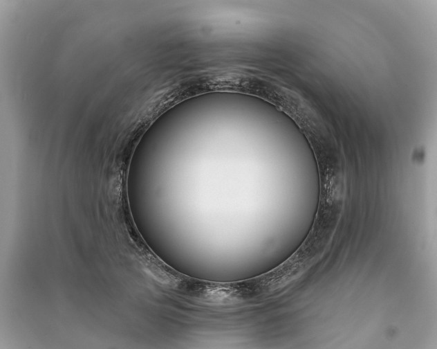 X0000091000753200708091539