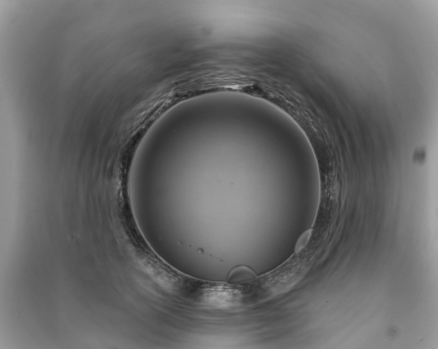 X0000091000754200708091539