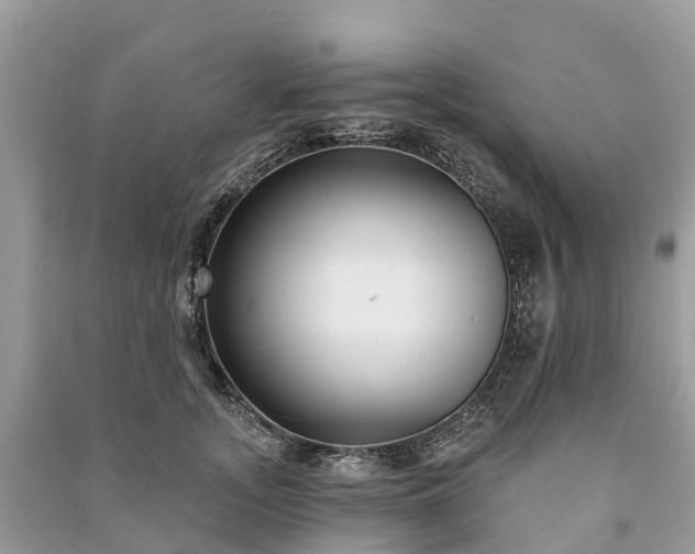 X0000091000755200708091539
